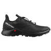 Мужские кроссовки для бега Salomon Supercross 3 GoreTex черные - 1