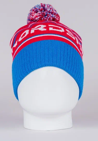 Теплая шапка Nordski Stripe RUS blue