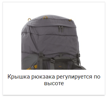 five sport ru