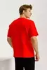 Мужская спортивная футболка Anta SS Lifestyle Tee красная - 2