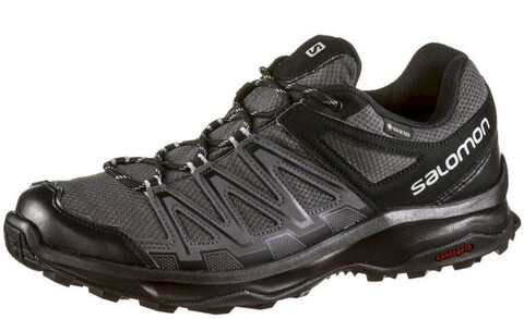 Мужские кроссовки для бега Salomon Leonis GoreTex черные