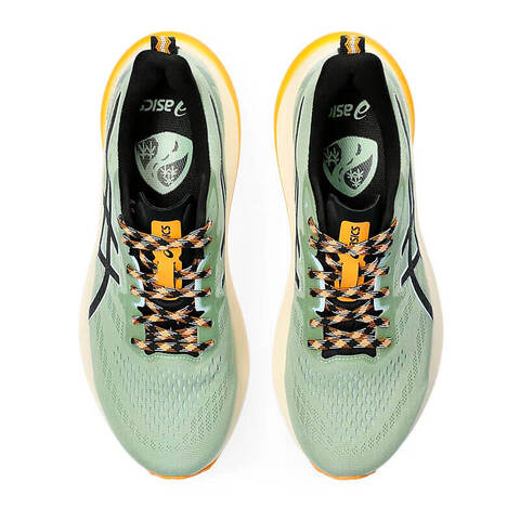 Мужские кроссовки для бега Asics Gt 2000 12 TR зеленые