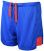 Asics Man Russia Short мужские волейбольные шорты синие - 1