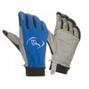 Перчатки Bjorn Daehlie Glove Brisk - 1