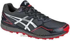 Asics Gel Fujisetsu GTX Five sport.ru
