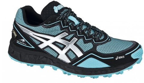 Asics gel fujisetsu gtx cheap
