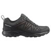 Мужские кроссовки для бега Salomon Tibai 2 GoreTex черные - 1