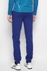 Asics Graphic Cuffed Pant Мужские спортивные штаны синие - 2