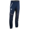 Лыжные брюки мужские Bjorn Daehlie Pants Pulse синие - 1