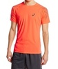 Спортивная футболка Asics SS Stripe Top мужская оранжевая - 1