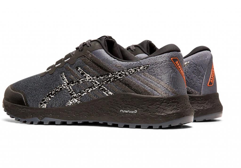 Alpine xt outlet