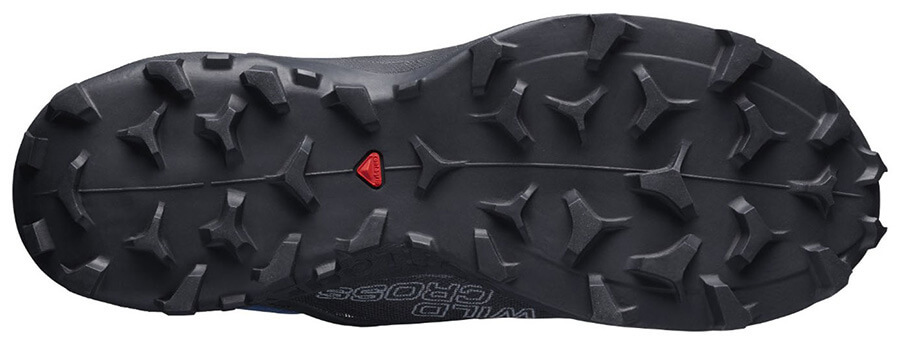 Мужские кроссовки для бега Salomon Wildcross синие - 2