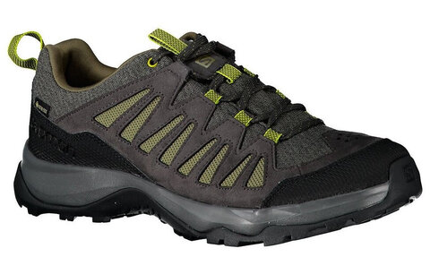 Мужские кроссовки для бега Salomon EOS GoreTex