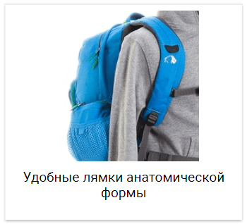 five sport ru
