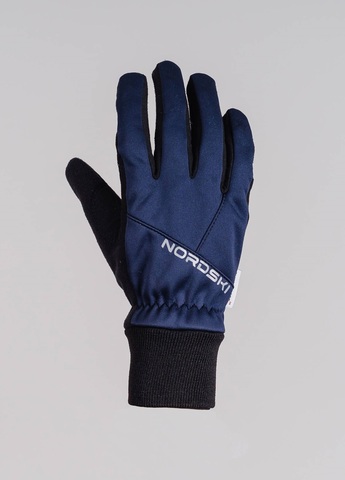 Nordski Motion WS перчатки blueberry