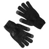 Зимние перчатки Asics Liner Gloves черные - 1