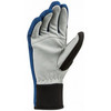 Bjorn Daehlie Track перчатки лыжные синие-белые - 2